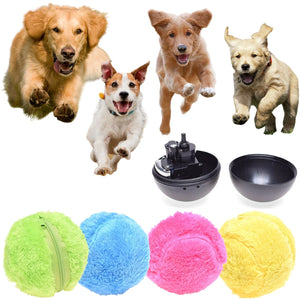 PawPals™ Unleash Endless Fun for Your Furry Friend 🐾🎉