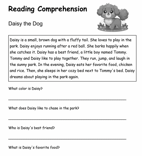 Reading Comprehension Workbooks