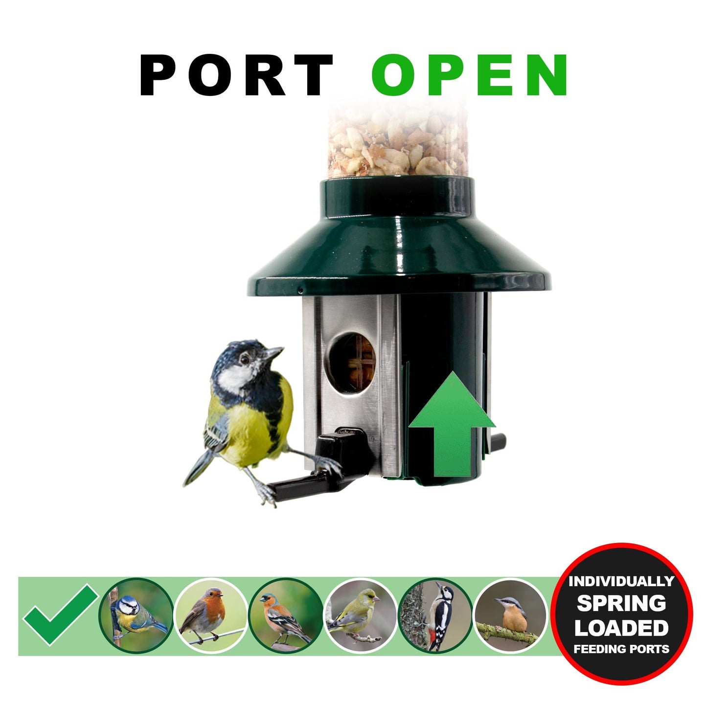 Roamwild PestOff Squirrel Proof Bird Feeder