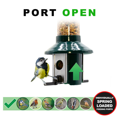 Roamwild PestOff Squirrel Proof Bird Feeder