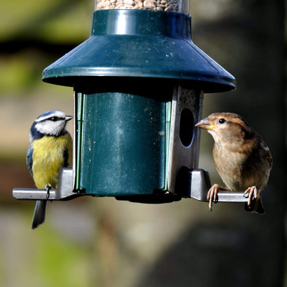 Roamwild PestOff Squirrel Proof Bird Feeder